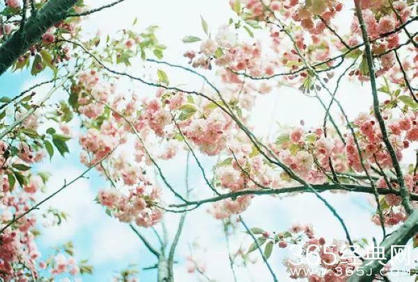 没有可不可以，只有愿不愿意