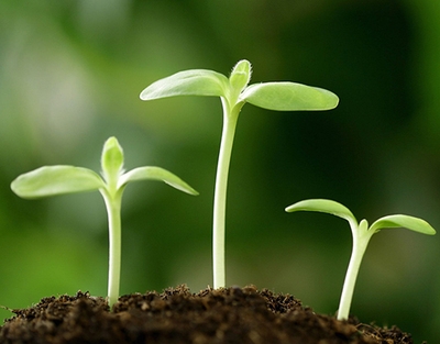 永远只与成功者为伍