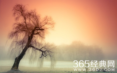 纵一刻，也千秋