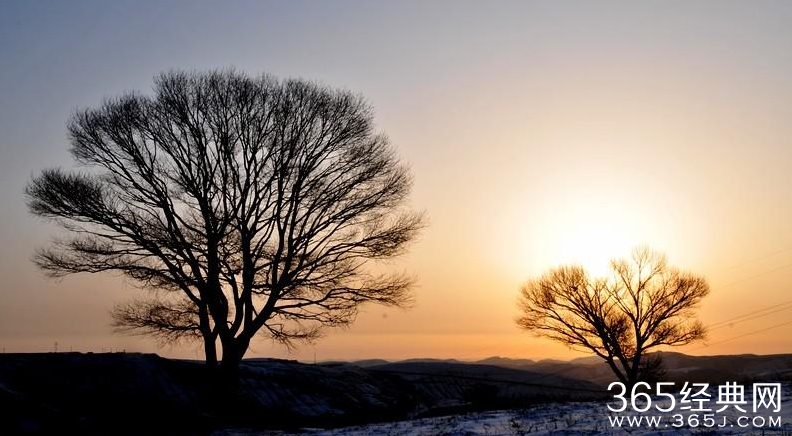 珍惜每一个跑龙套的日子