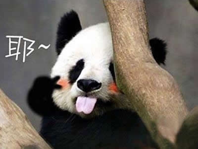 经典笑话段子集锦