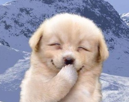 让人捧腹大笑的经典搞笑段子集锦