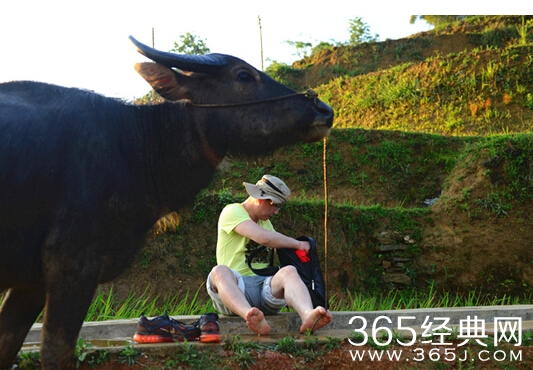 《老板变形记》第二季牛群加盟