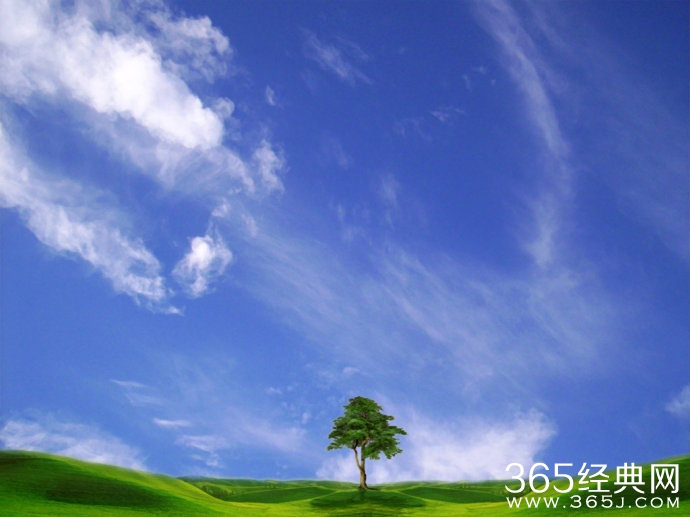 你若顽强到底，一切皆有可能