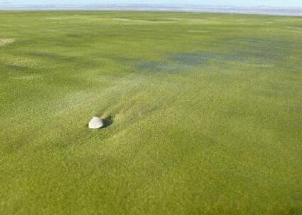 夏威夷Papakōlea绿色海滩