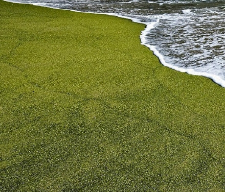 夏威夷Papakōlea绿色海滩