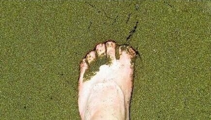 夏威夷Papakōlea绿色海滩