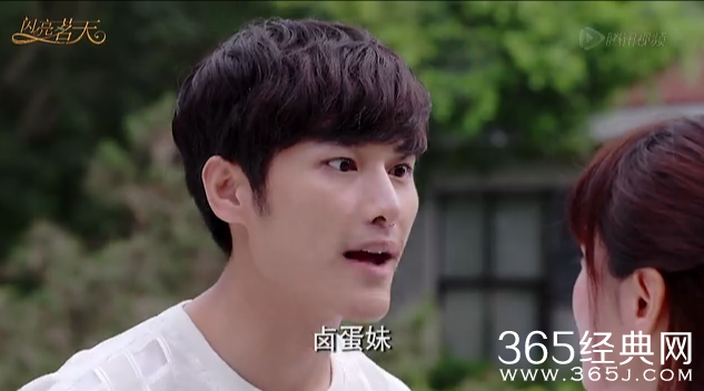 闪亮茗天经典台词