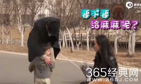 《爸爸回来了》第二季嗯哼玩松果花絮曝光