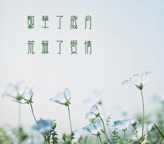 繁华了岁月，荒芜了爱情