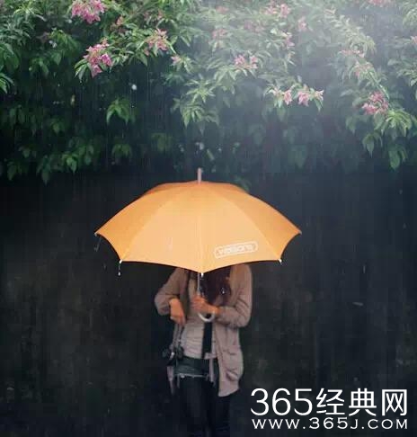 想说的话都在眼睛里