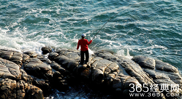 乐于分享，其乐无穷