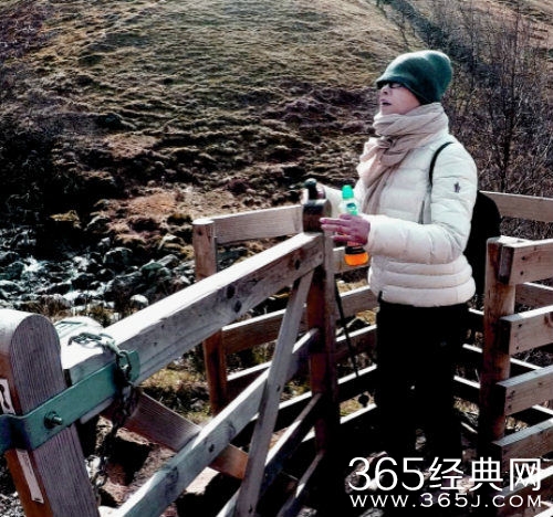 毛阿敏帐篷搭建求支援