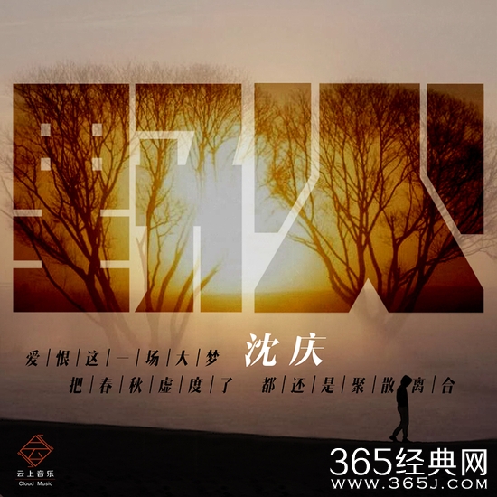 沈庆新歌《野火》单曲封面。