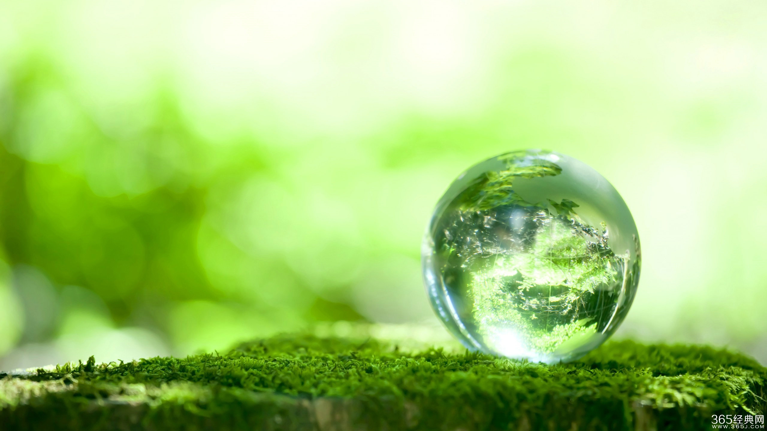 最大的心善是让身边的人挣钱