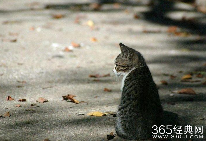 孤独，是优秀的必经之路