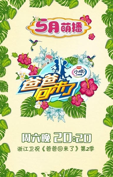 《爸爸回来了》20150523期插曲汇总