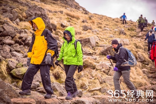 许晴超前婚恋观惊现大尺度:支持无性别的爱