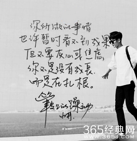 井柏然字体在哪下载怎么下载