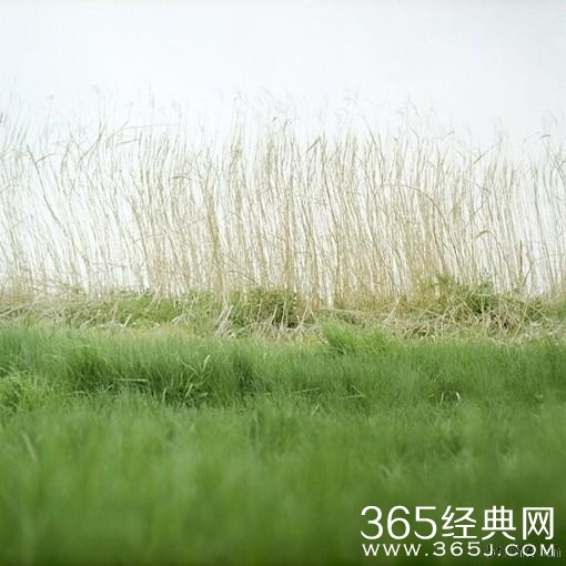 像我在往日还未抽烟，不知你怎么变迁 -《不如不见》、Its奥莉弗