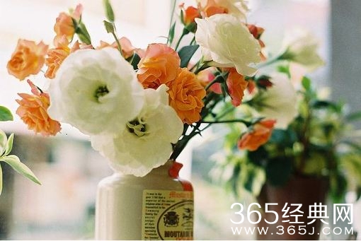 不言不语都是好风景