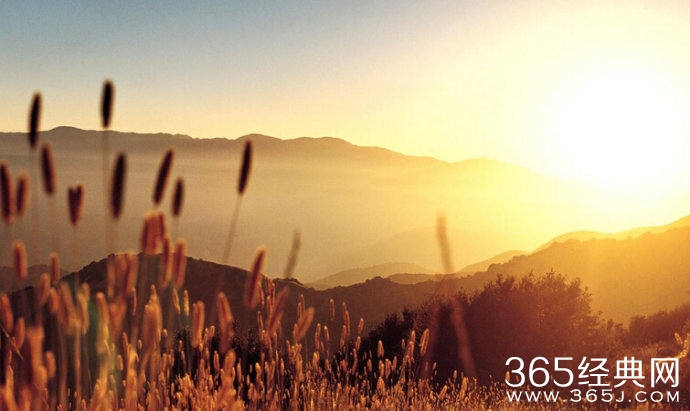 “高考状元”的艰难成功路