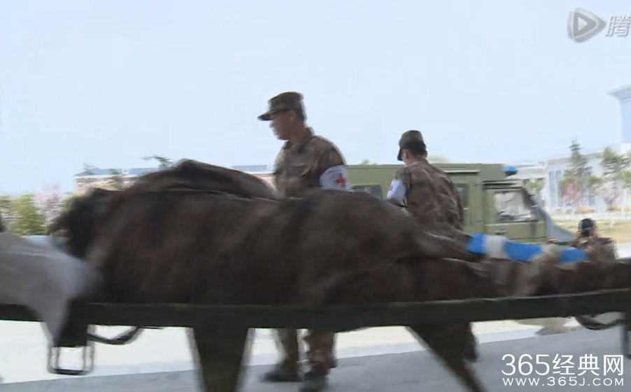 《真正男子汉》20150529期视频直播观看