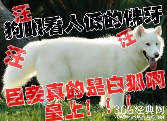 电视剧《琅琊榜》玩坏系列