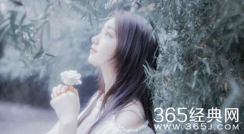 你是水，我是岸