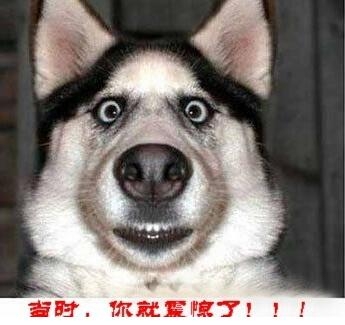 经典哥：其实我暗恋你很久了2015.06.03