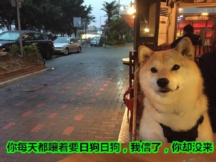 经典哥：其实我暗恋你很久了2015.06.03