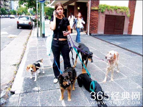 经典哥：其实我暗恋你很久了2015.06.03