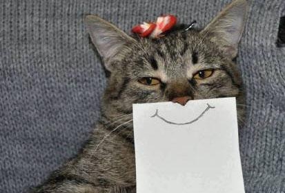 经典哥：然而并没有什么乱用2015.06.04