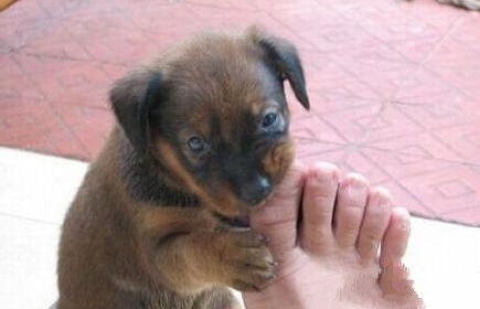 男子一觉醒来五只脚趾失踪