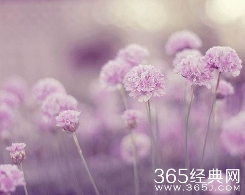 读《少年向上真善美伴我行》有感