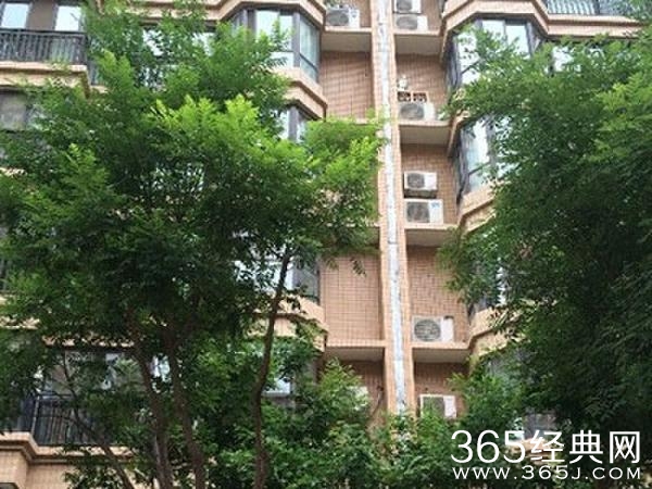 新郎新婚闹洞房坠亡