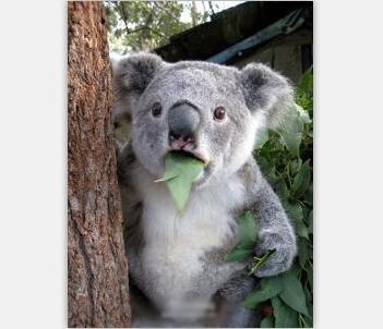 经典哥：还有一天就要高考了2015.06.05