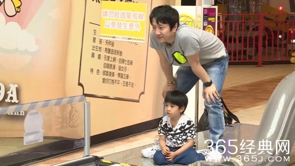 《爸爸回来了》甜馨奥莉再合璧 萌娃奶爸兵分两路聚首