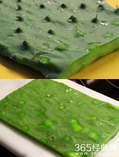 仙人掌绿色牛排