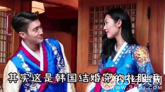 《我们相爱吧》何时复播