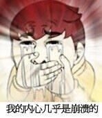 理都懂，然并卵，城会玩，日了狗什么意思