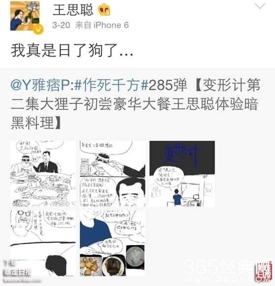 理都懂，然并卵，城会玩，日了狗什么意思