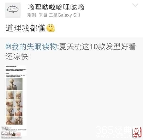 理都懂什么意思