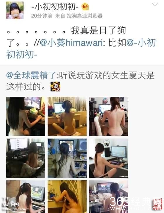 理都懂，然并卵，城会玩，日了狗什么意思