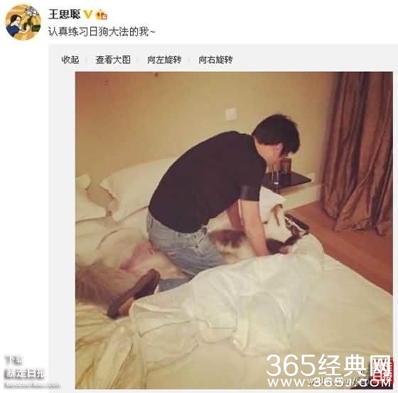 日了狗什么意思