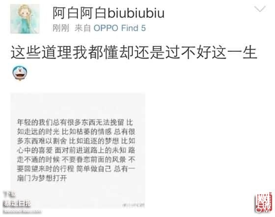 理都懂，然并卵，城会玩，日了狗什么意思