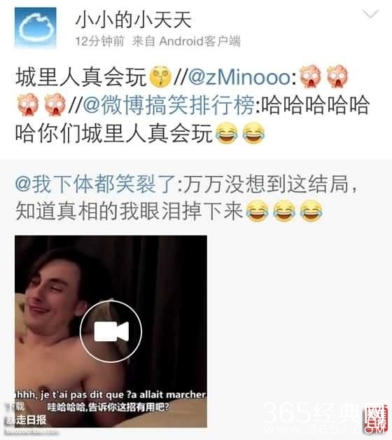 理都懂，然并卵，城会玩，日了狗什么意思