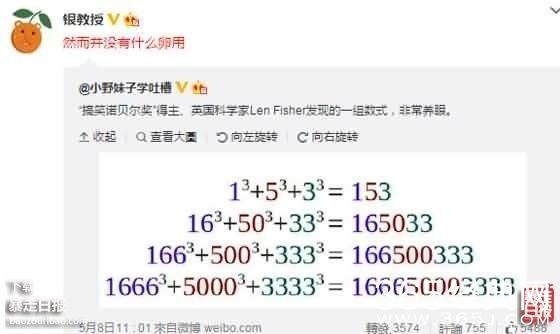 理都懂，然并卵，城会玩，日了狗什么意思