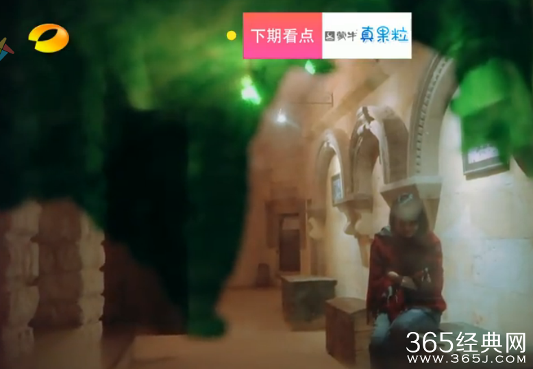 《花儿与少年》许晴为什么骂郑爽