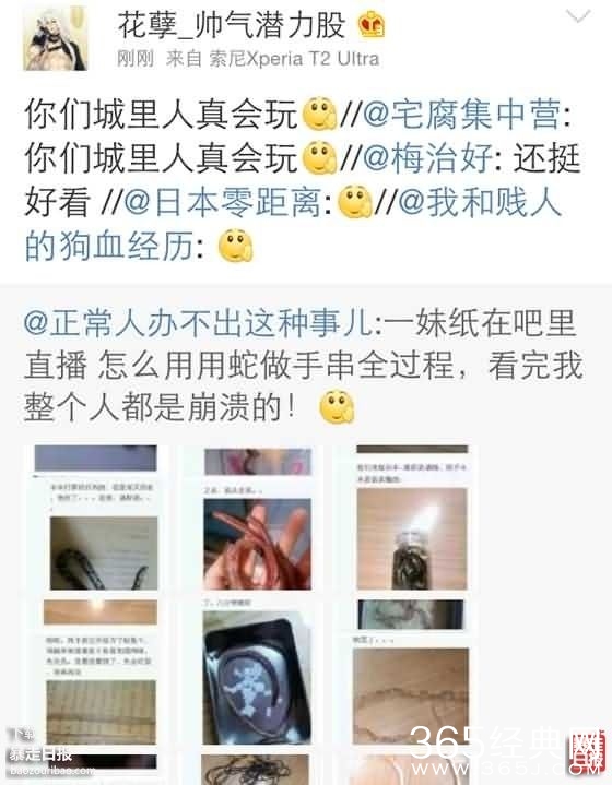 理都懂，然并卵，城会玩，日了狗什么意思